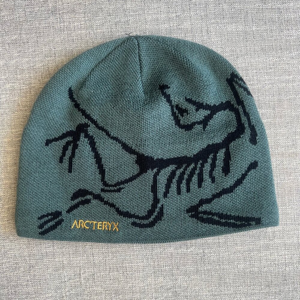 NWOT Arcteryx Bird Head Torque Beanie
